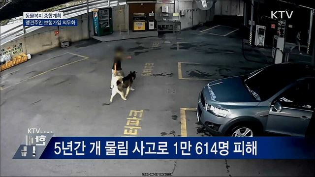 맹견 주인 보험가입 의무화···수입제한