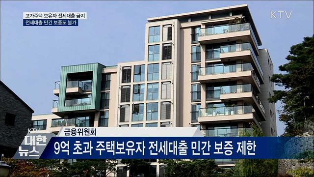 9억 원 넘는 주택 보유자 전세대출 금지