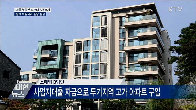 서울 부동산 실거래 2차 조사···절반이 이상 거래