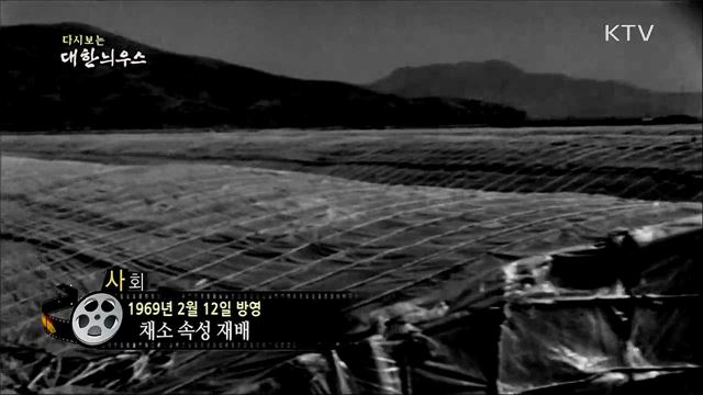 다시보는 대한늬우스 (69. 2. 12) 이미지
