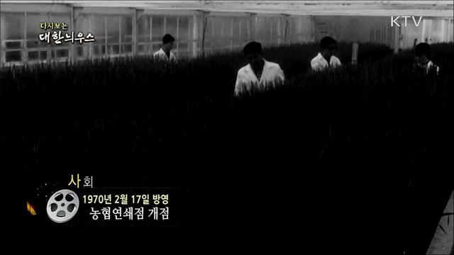 다시보는 대한늬우스 (70. 2. 17) 이미지