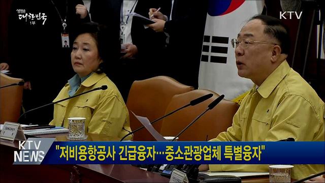 &#34;저비용항공사 긴급융자···중소관광업체 특별융자&#34;