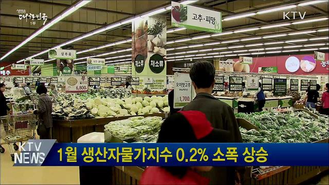 1월 생산자물가지수 0.2&#37; 소폭 상승