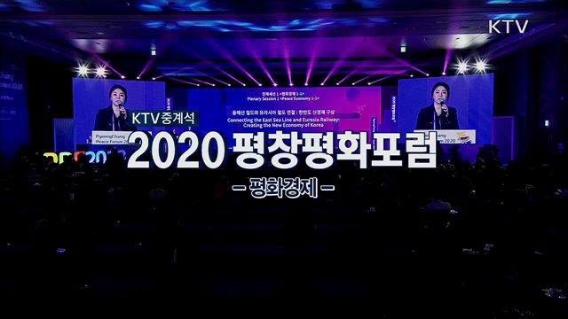 2020 평창평화포럼(평화경제)