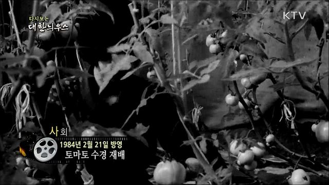 다시보는 대한늬우스 (84. 2. 21) 이미지
