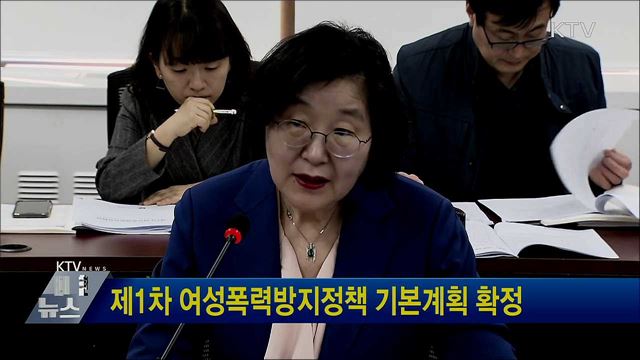 제1차 여성폭력방지정책 기본계획 확정