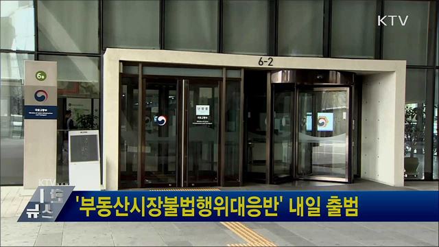 &#39;부동산시장불법행위대응반&#39; 내일 출범