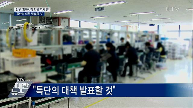 기재차관 &#34;환율 과도하게 쏠리면 필요 조치&#34;