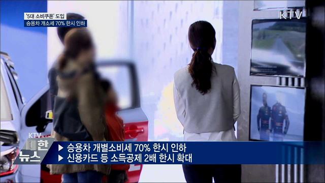 &#39;5대 소비쿠폰&#39; 도입···승용차 개소세 70&#37; 한시 인하
