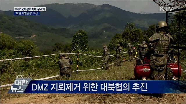 "DMZ 국제평화지대 구체화···북한 개별관광 추진"