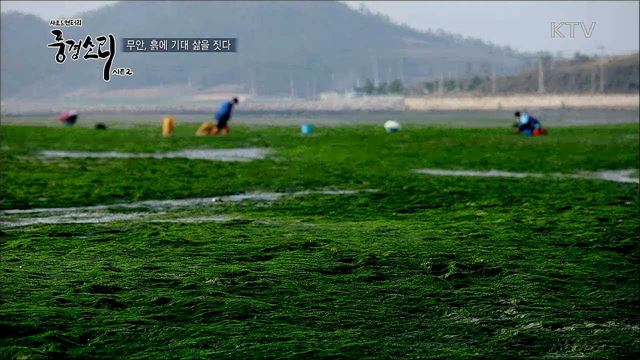 전남 무안, 흙에 기대어 삶을 짓다