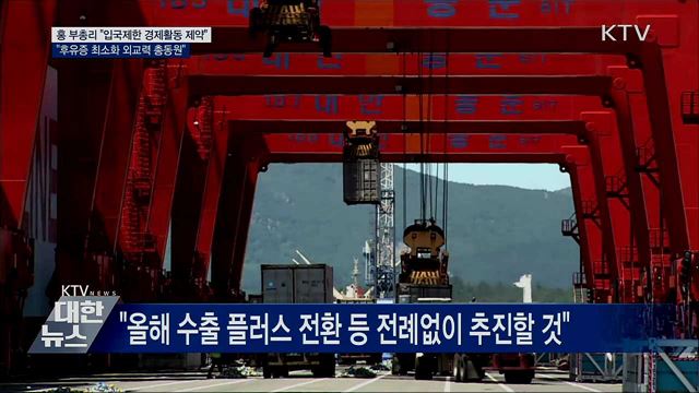 홍 부총리 &#34;입국제한 후유증 최소화에 외교력 총동원&#34;