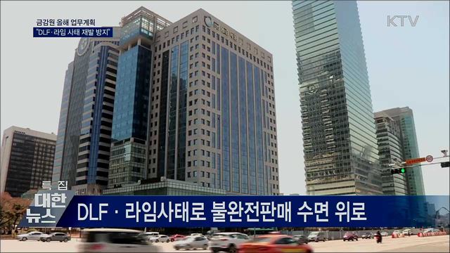 금감원 업무계획···DLF·라임사태 재발 방지