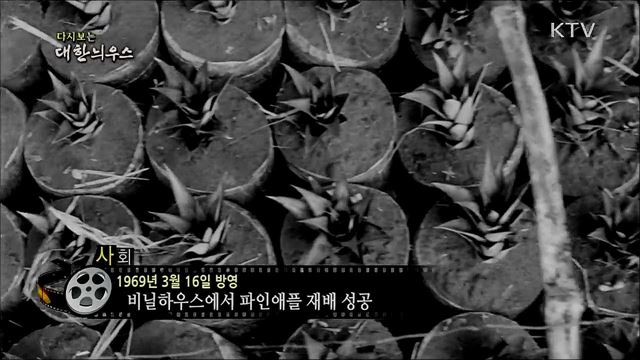 다시보는 대한늬우스 (69. 3. 16) 이미지