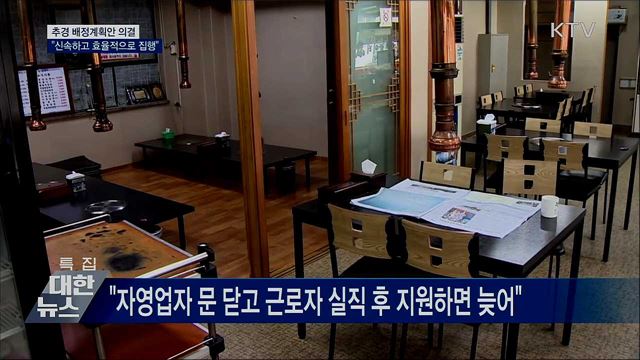 추경 배정계획안 의결···&#34;신속하고 효율적으로 집행&#34;