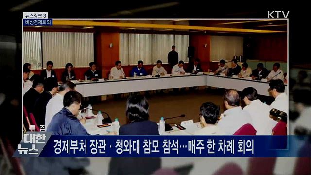 비상경제회의 [뉴스링크]