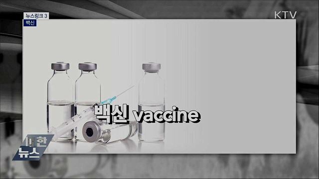 백신 [뉴스링크]