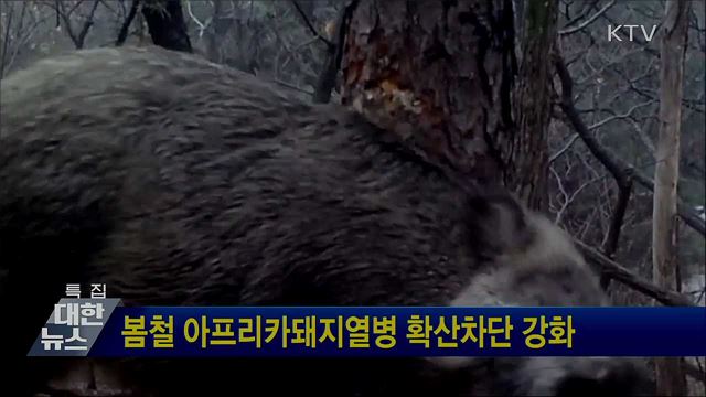 봄철 아프리카돼지열병 확산차단 강화