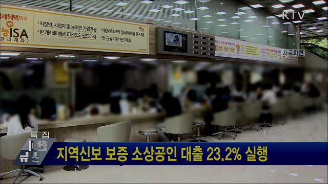 지역신보 보증 소상공인 대출 23.2&#37; 실행