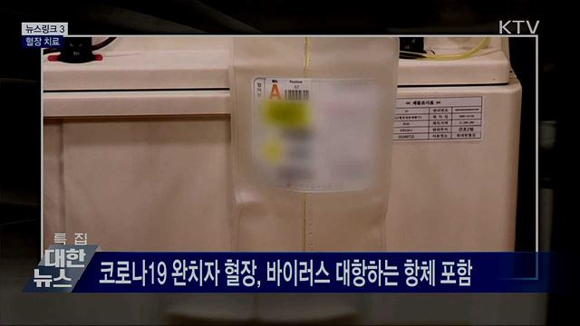 혈장 치료 [뉴스링크]