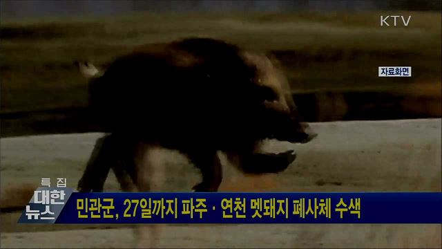 민관군, 27일까지 파주·연천 멧돼지 폐사체 수색