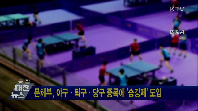 문체부, 야구·탁구·당구 종목에 &#39;승강제&#39; 도입