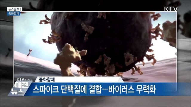 중화항체 [뉴스링크]