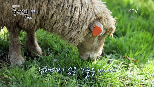 10회 예고 미리보기- 남해의 숨은 보물을 만나다