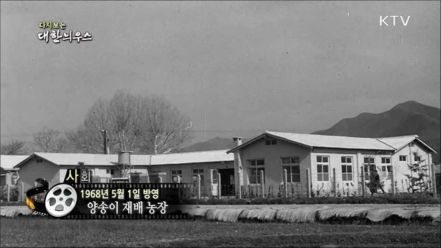 다시보는 대한늬우스 (68. 5. 1) 이미지