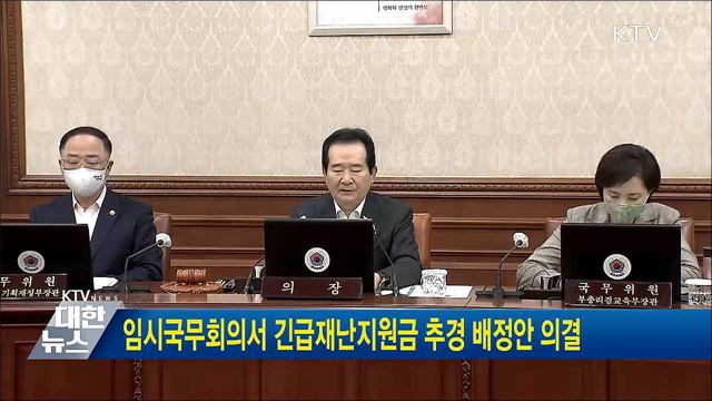 임시국무회의서 긴급재난지원금 추경 배정안 의결