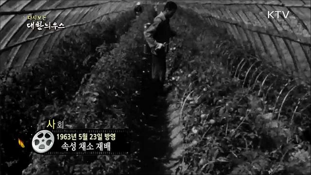 다시보는 대한늬우스 (63. 5. 23) 이미지