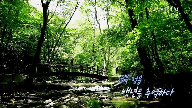 사운드멘터리 풍경 소리 시즌2