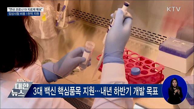 &#34;연내 코로나19 치료제 확보···내년 백신 개발&#34;
