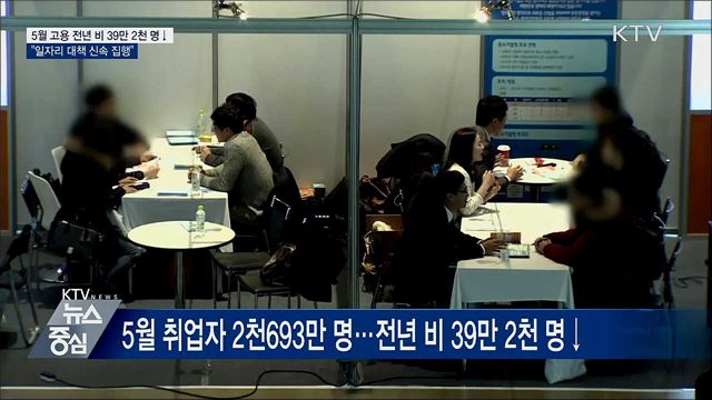 5월 고용 전년 비 39만 2천 명↓···&#34;방안 신속 집행&#34;