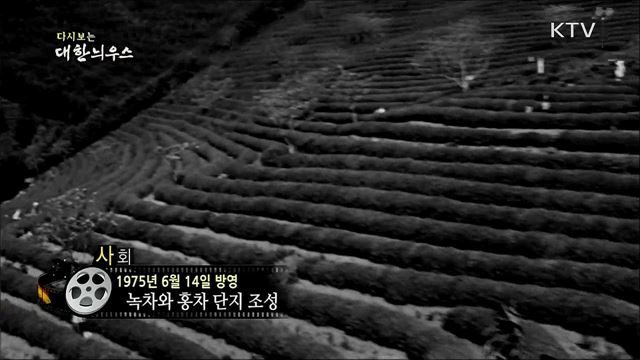 다시보는 대한늬우스 (75. 6. 14) 이미지