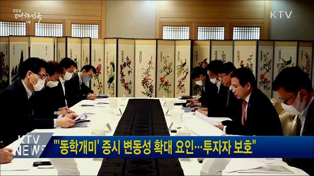 &#34;&#39;동학개미&#39; 증시변동성 확대 요인···투자자 보호&#34;