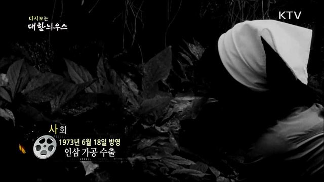 다시보는 대한늬우스 (73. 6. 18) 이미지