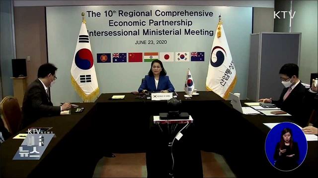 RCEP 화상 장관회의···'연내 타결' 재확인
