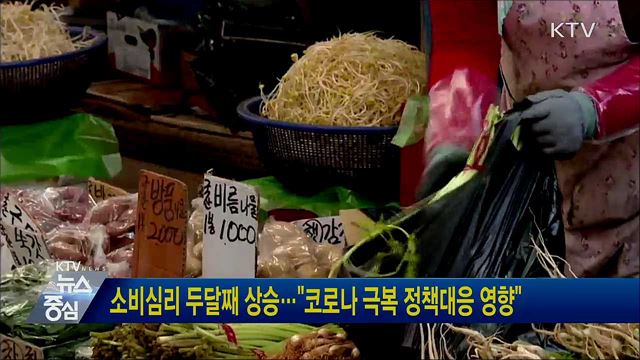 소비심리 두달째 상승···&#34;코로나 극복 정책대응 영향&#34;