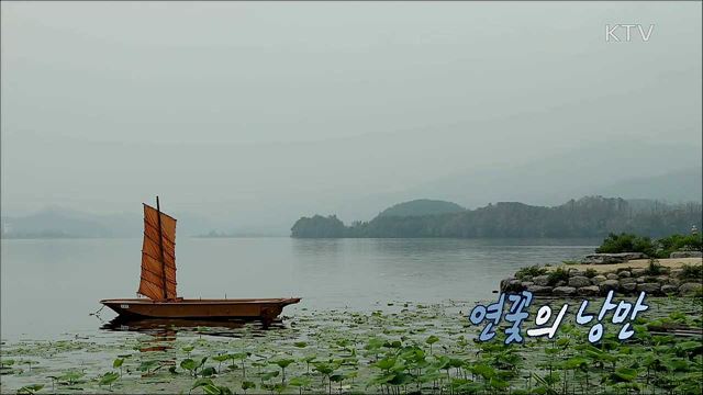 연꽃의 낭만