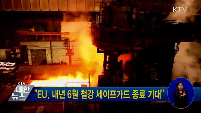 &#34;EU, 내년 6월 철강 세이프가드 종료 기대&#34;