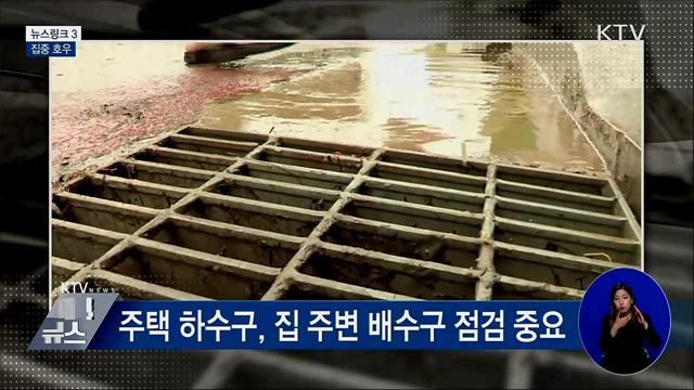 집중 호우 [뉴스링크]