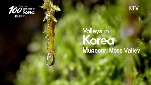 100 Sceneries of Korea (11회)