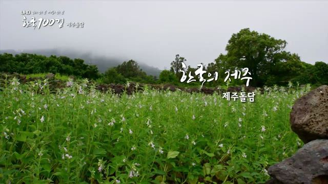 가고 싶은 곳 머물고 싶은 곳 UHD 한국 100경 (10회)