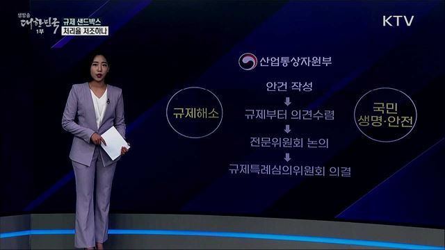 말로만 &#39;혁신&#39;? 규제 샌드박스, 처리율 저조하나 [사실은 이렇습니다]