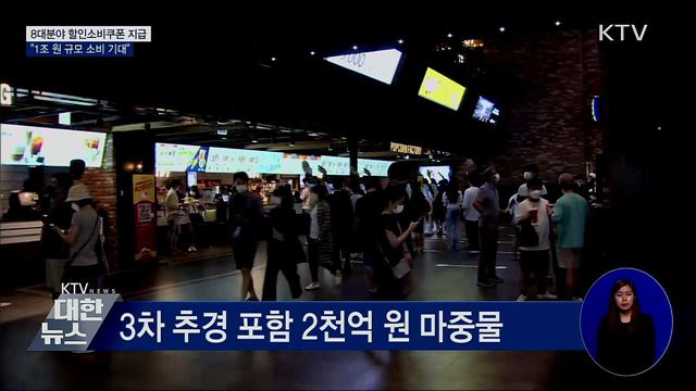 &#34;8대 분야 할인소비쿠폰 이달 말부터 지급&#34;
