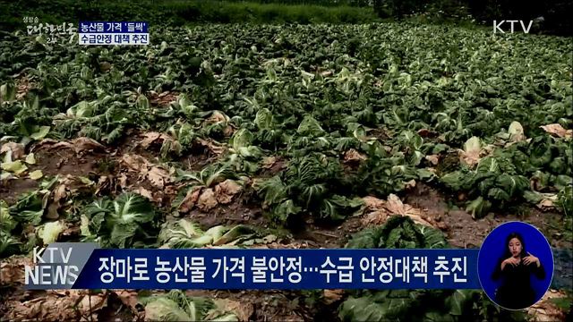 농산물 가격 &#39;들썩&#39;···수급안정 대책 추진