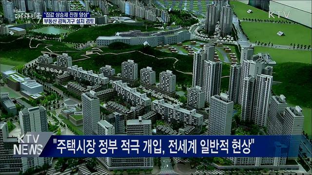 &#34;집값 진정 양상···부동산 감독기구 설치 검토&#34;