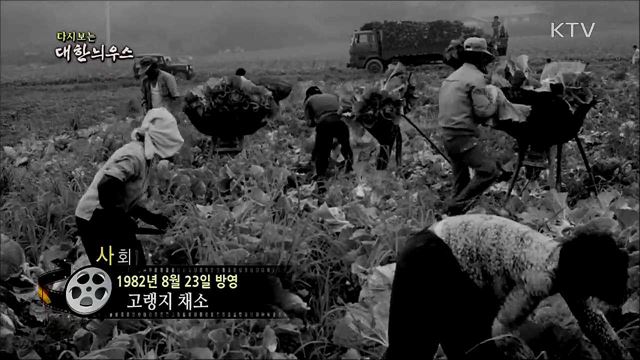다시보는 대한늬우스 (82. 8. 23) 이미지