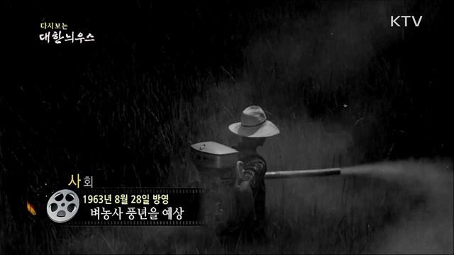 다시보는 대한늬우스 (63. 8. 28) 이미지